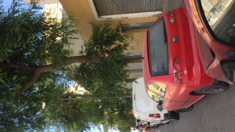 Avenida Ramon Ortega en Denia (Alicante)