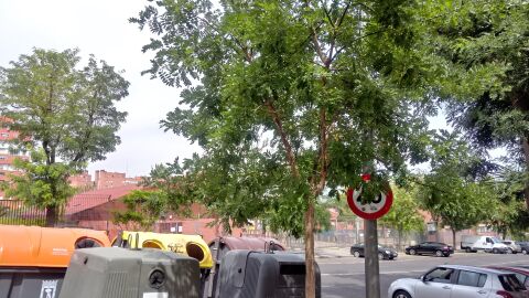 En Madrid, en la calle León Felipe 6 , 28038 justo en frente del Colegio Público La Rioja hay una señal de circulación tapada por arboles y por los cubos de basura, está orientada hacia la acera y no hacia la carretera, lo que la hace invisible para los conductores. 