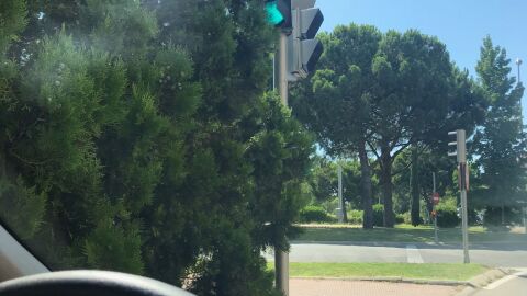 Poda de seto Casi no se ve el semáforo porque lo tapa un seto. Glorieta de cruce de Doctor García Tapia con Fuente Carrantona. Madrid