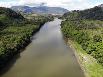 Los objetivos climáticos de esta década solo serían posibles mediante la regeneración de los bosques tropicales