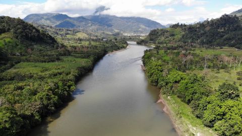 Los objetivos climáticos de esta década solo serían posibles mediante la regeneración de los bosques tropicales Los objetivos climáticos de esta década solo serían posibles mediante la regeneración de los bosques tropicales