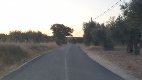 Este es el estado en el que está la carretera denominada "camino del prado" entre las poblaciones de Mentrida y Calalberche (Toledo). Con un ancho insuficiente, totalmente destrozada y sin marcas viales. Tampoco hay señalización de curvas ni absolutamente ninguna medida de seguridad. Eso si, la DGT si se oculta bajo un olivo para multar a los coches que superan los 40 km/h en la única recta que hay. 