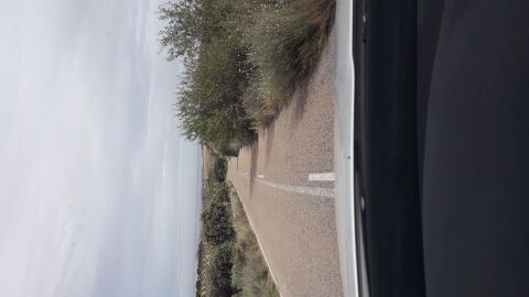 Falta de mantenimiento Buenos días ando mucho por carretera por mi profesión y me encuentro constantemente que los matorrales y los árboles se comen la carretera de noche produce falta de visibilidad no te puedes cruzar dos coches además de ser zona en la que se cruzan especies cinegéticas y no se pueden ver hasta que los tienes encima.La foto es de la carretera de Vellisca a Saceda Trasierra en Cuenca pero así hay muchas mas