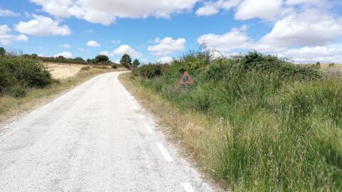 Adjunto fotografía de señal de tráfico en la SO-P-5109 a su paso por Santervas del Burgo en Soria. Son sólo una muestra de la realidad de las carreteras de la región. Señales comidas por el sol y por la vegetación, olvidadas y sin mantenimiento desde hace más de 30 años. Carreteras especialmente peligrosas por la noche al tener numerosas curvas, muchas de ellas ciegas que al carecer sus señales de reflectante hace mucho más peligrosa su circulación.