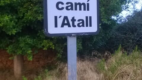 cami LATALL Oropesa del Mar Deberían tomar medidas serias en cami LATALL de Oropesa delimitado por señales de 30 km/h y donde la mayoría de vehículos circulan a 90 km/h lugar muy concurrido por peatones y ciclistas y con bastante saturación de vehículos en verano en horas puntas.. Deberían instalar radares o al menos mejorar los reductores de velocidad ya que a penas son altos comparados con el resto ubicados en el resto del municipio y por ello no resultan obstáculo alguno para tener que reducir la velocidad los vehículos.