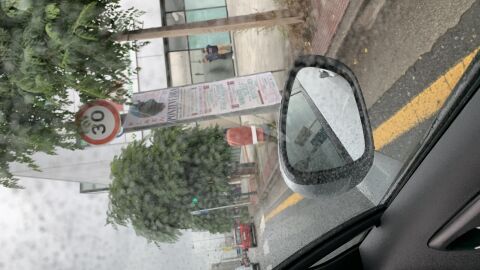 En la calle Eduardo Pondal, Pontevedra, enfrente a los cines de Vialia, hay un semáforo que esta tapado por las ramas de un árbol 