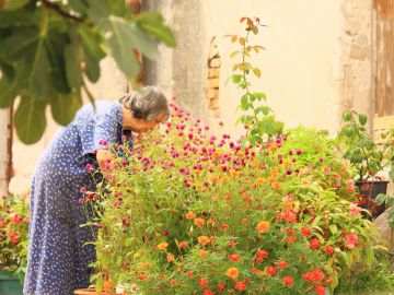 La jardinería ayuda a llevar un estilo de vida más sano y un envejecimiento activo