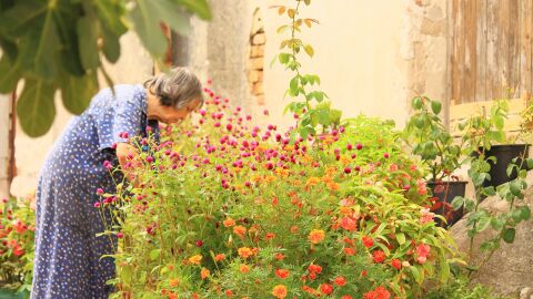 La jardiner&iacute;a ayuda a llevar un estilo de vida m&aacute;s sano y un envejecimiento activo