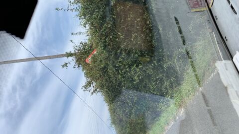 Señal oculta en la carretera de calle Karmelo Etxegarai bi2120 Mungia direcion plencia bizkaia
