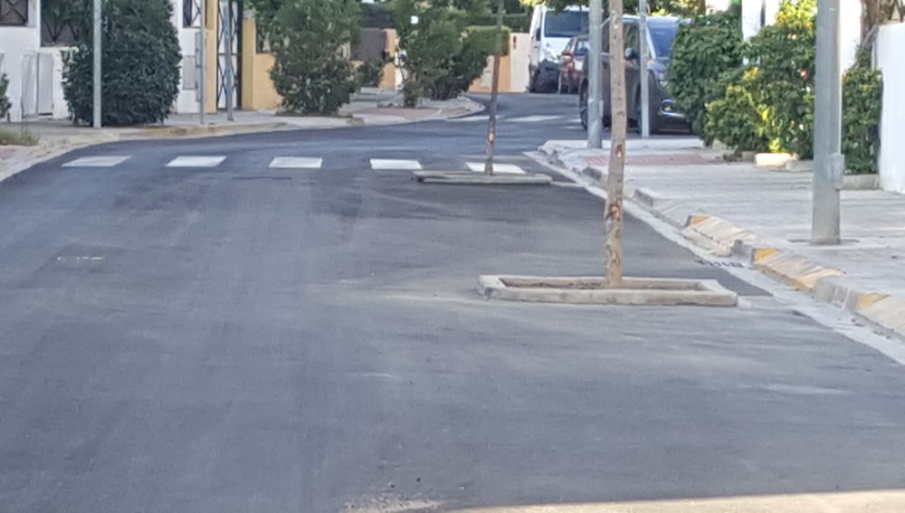 Se pasaron de ecologistas Plantaron árboles en mitad de la vi a pública. Calle Santa Teresa Godella (Valencia)