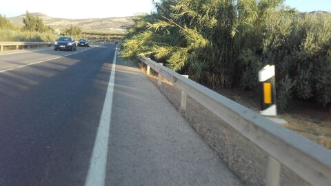 hay cañas tapando la libre circulacion en el arcen. nacional 432 km 343