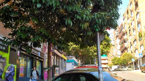 No se ve el semáforo con las hojas del árbol. Esta en la esquina de la calle Canillas con la calle Clara del Rey en Madrid. 