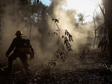 Incendios en la Amazonia brasileña
