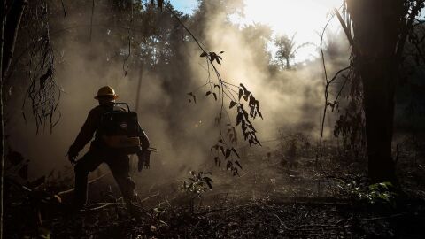 Incendios en la Amazonia brasile&ntilde;a