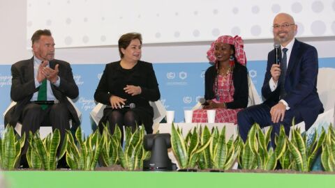 COP 2018