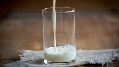 Leche Leche