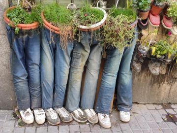 Macetas de el 'hombre de los pantalones'