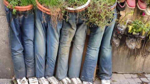 Macetas de el 'hombre de los pantalones' Macetas de el 'hombre de los pantalones'