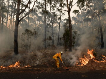 Llueve en el este de Australia pero la calidad del aire en Canberra sigue en niveles peligrosos