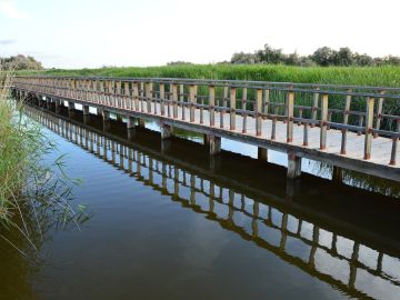 Parque Nacional de Las Tablas de Daimiel