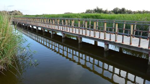 Parque Nacional de Las Tablas de Daimiel