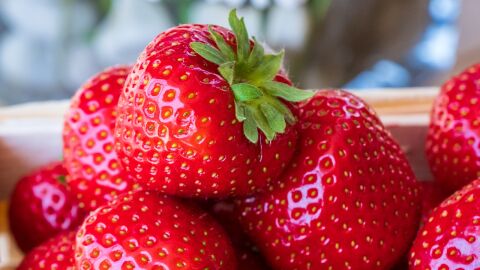 Fresas