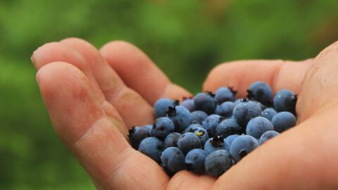 Ar&aacute;ndanos para prevenir el envejecimiento acelerado