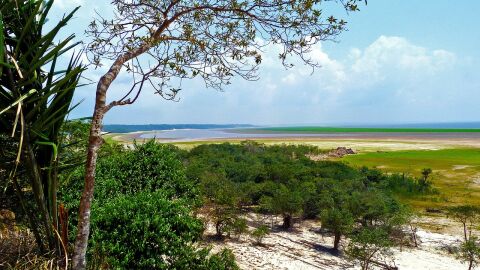 Amazonas