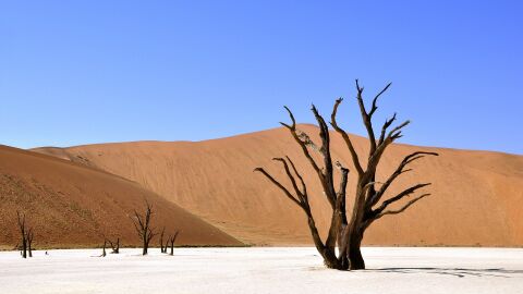 Desierto de Namibia Desierto de Namibia