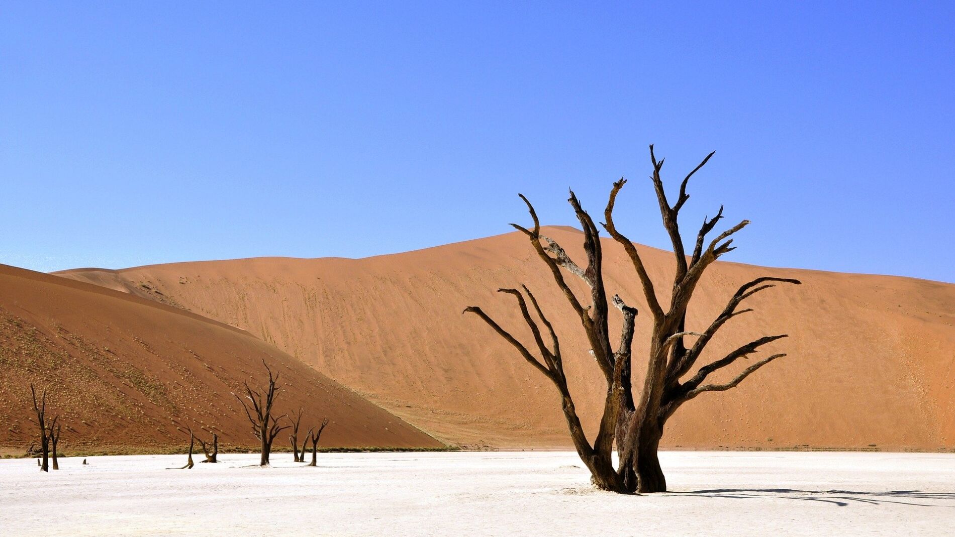 Desierto de Namibia