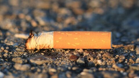 Cigarillo tirado en la naturaleza