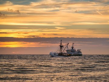 Barco pesquero