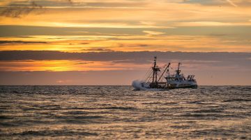 Barco pesquero