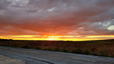 Gravilla en carretera
