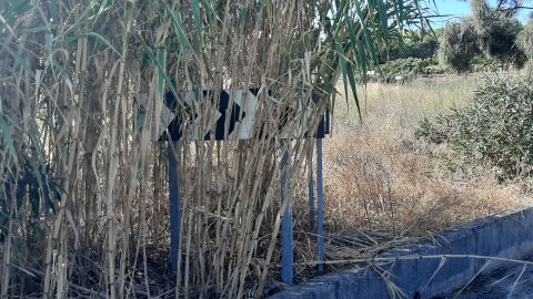 Denuncia recibida Señales tapadas