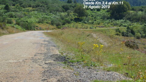 Carretera en mal estado