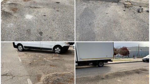 Ra&iacute;ces en carretera