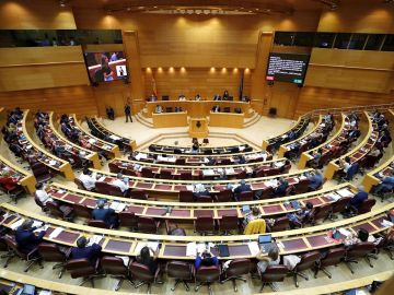 Vista panorámica del Senado