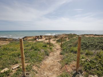 La actuación se enmarca en las labores de conservación de la biodiversidad local, especialmente ligada a zonas litorales colindantes a playas galardonadas con Bandera Azul 