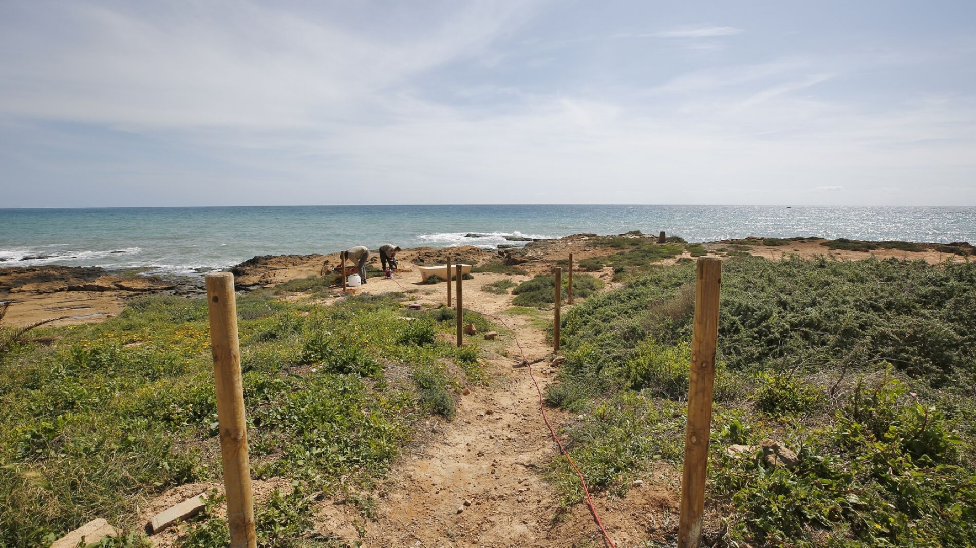 La actuación se enmarca en las labores de conservación de la biodiversidad local, especialmente ligada a zonas litorales colindantes a playas galardonadas con Bandera Azul 