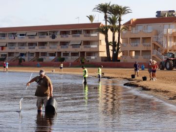 Operarios limpiando la playa de Puerto Bello de La Manga del Mar Menor