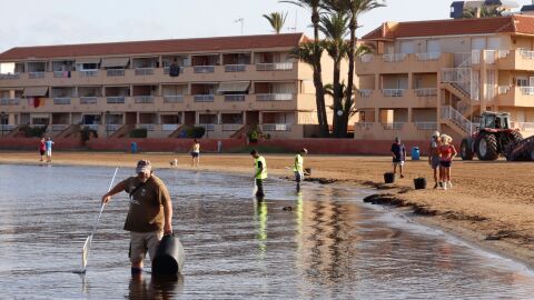 Operarios limpiando la playa de Puerto Bello de La Manga del Mar Menor Operarios limpiando la playa de Puerto Bello de La Manga del Mar Menor