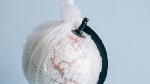 El cambio climático puede desencadenar la próxima pandemia El cambio climático puede desencadenar la próxima pandemia