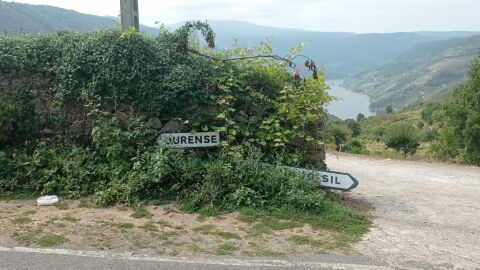 Las señales de esta carretera llevan caídas un año