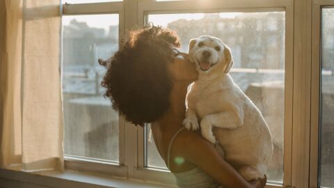 Los animales, seres vivos dotados de sensibilidad Los animales, seres vivos dotados de sensibilidad