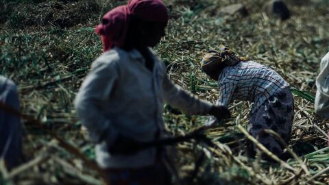 Mujeres agricultoras