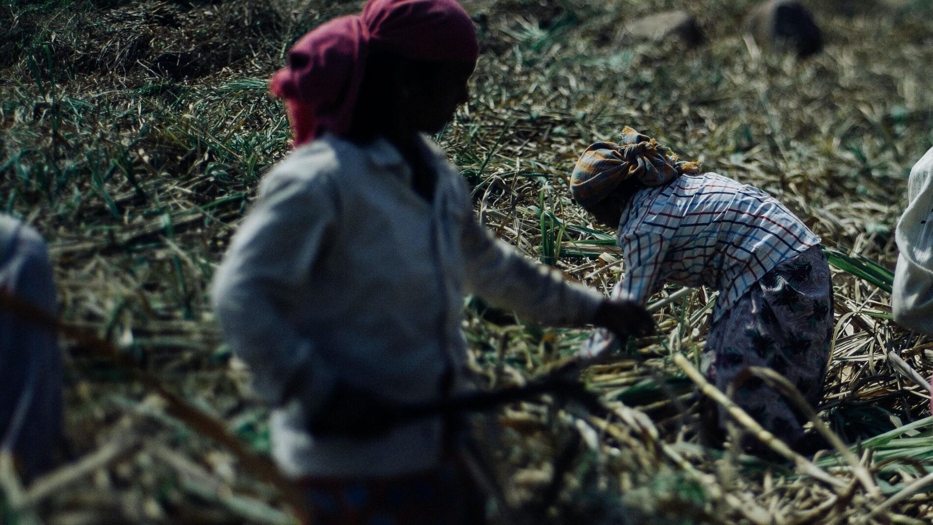 Mujeres agricultoras