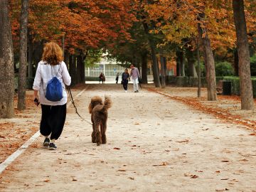 Las personas de barrios mas humildes de Madrid realizan menos actividad fisica en los parques