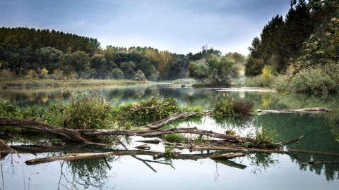 Cuenca busca emprendedores para aprovechar de forma sostenible sus bosques Cuenca busca emprendedores para aprovechar de forma sostenible sus bosques