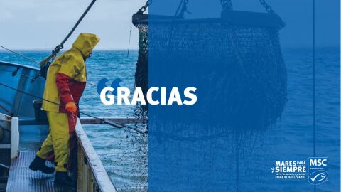 Llega la segunda 'Semana Mares Para Siempre' para poner en valor y agradecer el apoyo a la pesca sostenible 